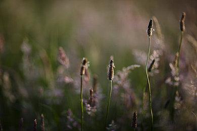 派大星放大招《海绵宝宝：派大星游戏》动作介绍视频